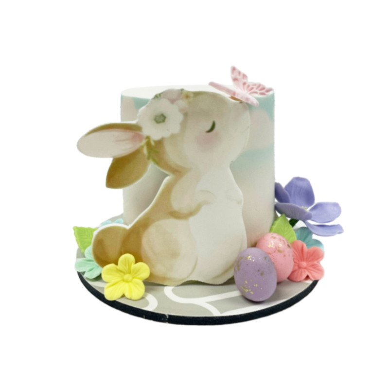 Pastel Bunny Cake
