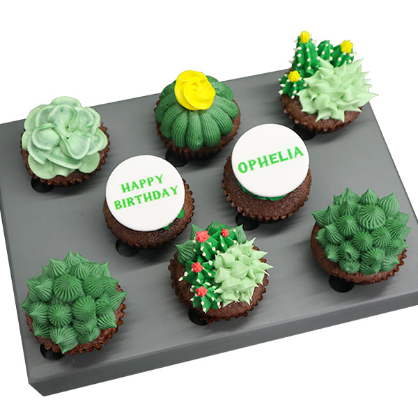 Cactus Mini Cupcakes Set