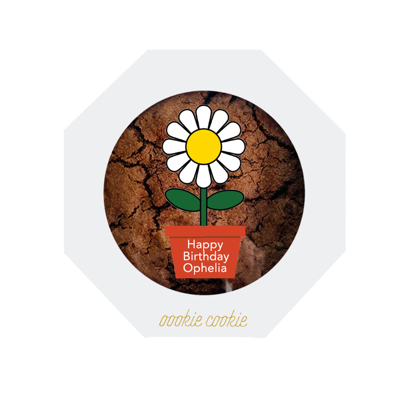 Chewy Cookie - 6" Choco-X *Customized Flower Pot*