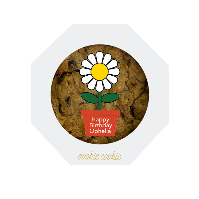 Chewy Cookie - 6" Red Dates *Customized Flower Pot*